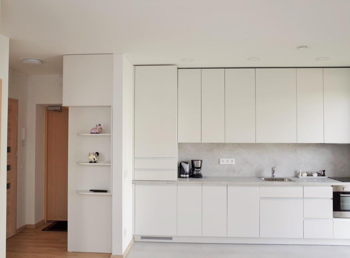 Elzbietos centro apartamentai Wilno Zewnętrze zdjęcie