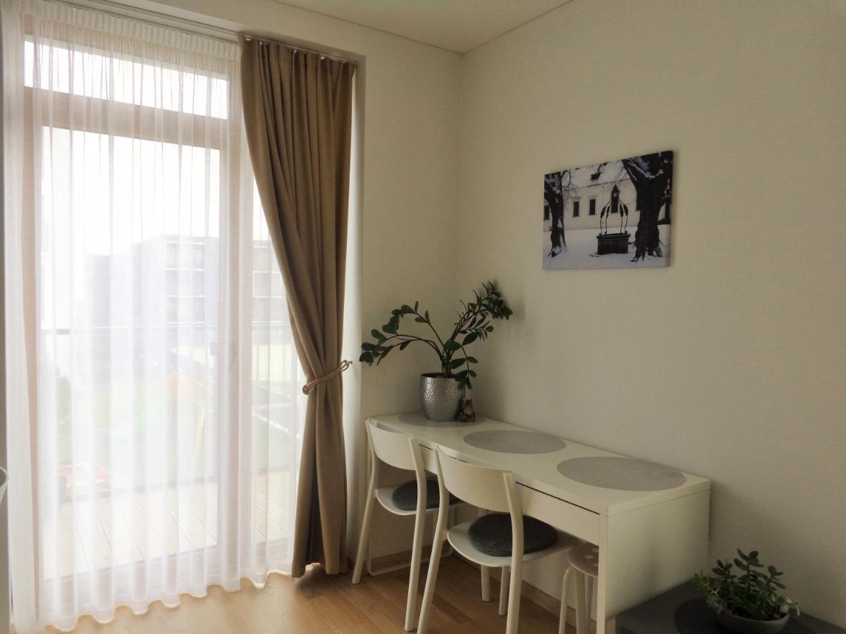 Elzbietos centro apartamentai Wilno Zewnętrze zdjęcie